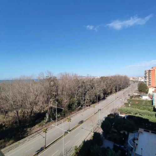 Shitet Garsoniere ne Plepa