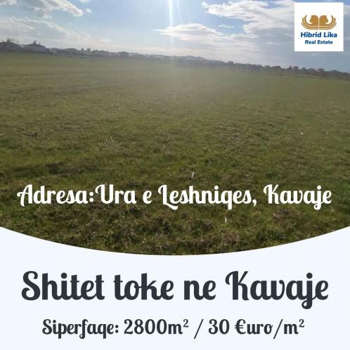 Shitet Toke ne Kavaje