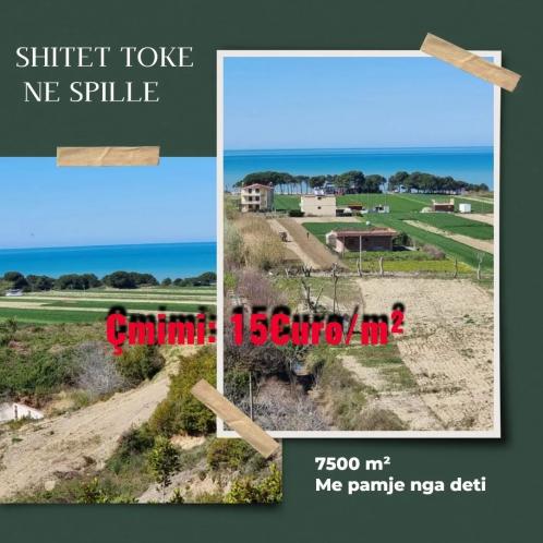 Shitet Toke ne Spille