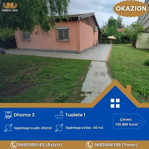 Shitet Vile ne  Golem