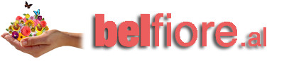 BELFIORE