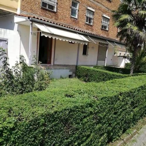 Shitet  ambjent biznesi ne  Elbasan.