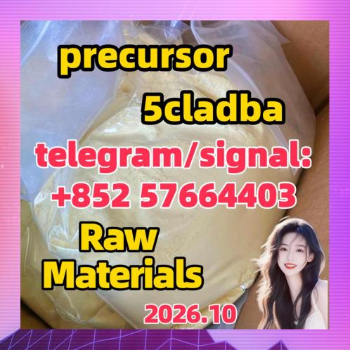 Great Feedbacks Adbb 5cladba Precursor