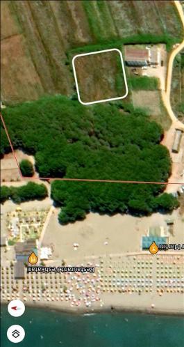  Toke Truall ne Spille 160 metra larg detit