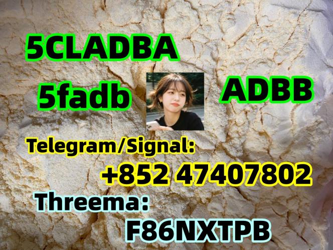 Raw materials 5cl-adb supplier 5cladba 5cladb vendor in stock