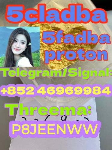 CAS 119276-01-6 Protonitazene  Quality assurance Protonitazene cas 119276-01-6