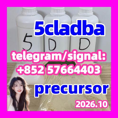 5cladba raw material 5CL-ADB-A precurso