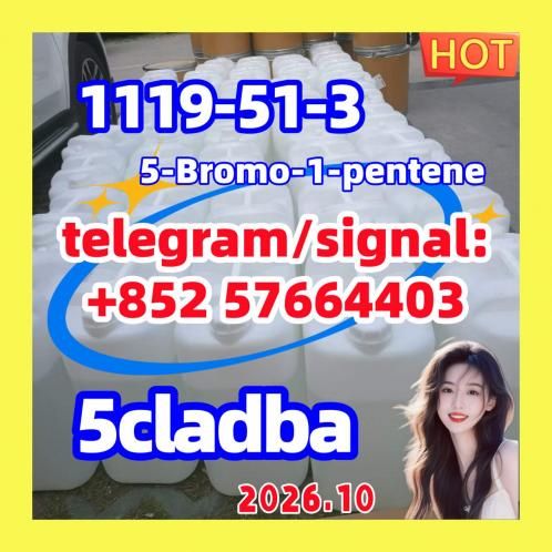 China Supplier 5cladba precursor raw  1119-51-3 5-Bromo-1-pentene 