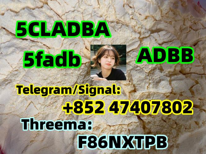 5cladba raw material 5CL-ADB-A precursor raw 5cladba 5f adb