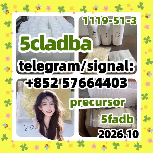 China Supplier 5cladba precursor raw 5cl-