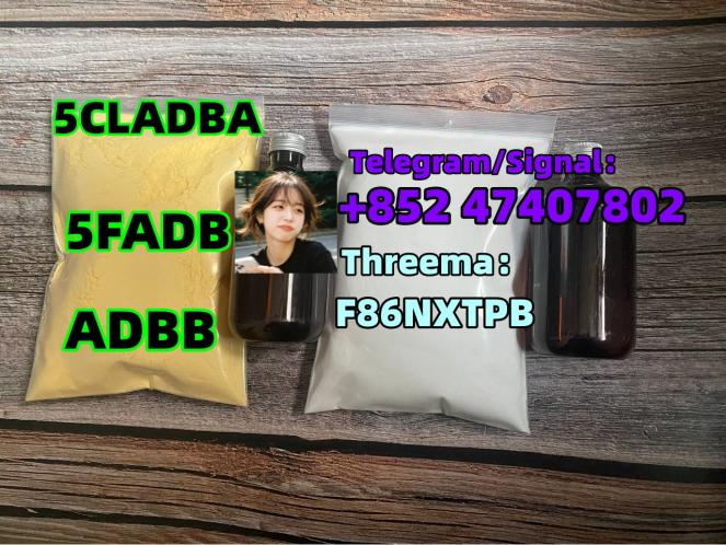 5cladba 5cl Yellow Powder 5cladba From Best Supplier