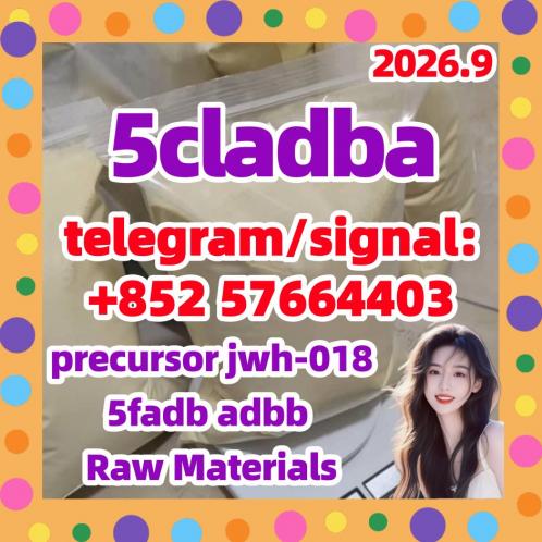 Great Feedbacks Adbb 5cladba Precursor