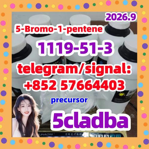 BUY 5CLADBA 1119-51-3 5-Bromo-1-pentene PRECURSOR 