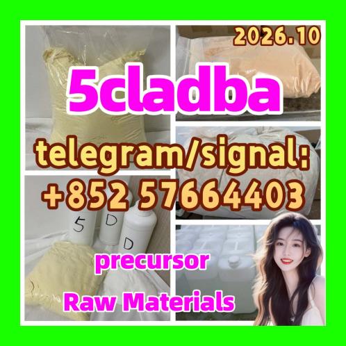For Sale: 5cladba Precursor 5cladba 5f-ad