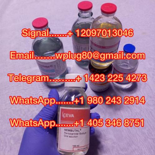 buy nembutal pentobarbital sodium powder liquid order nembutal buy 5cladba 5fadb Etomidate powder Cychlorphine Nitazene Protonitazene Metonitazene Bromazolam Isotonitazene 4MMC 3MMC 3CMC 4CMC APVP Crystal Meth a-PiHP 2FDCK k2 paper U-47700 Fentanyl,heroin synthetic opioid Carfentanil Brorphine 