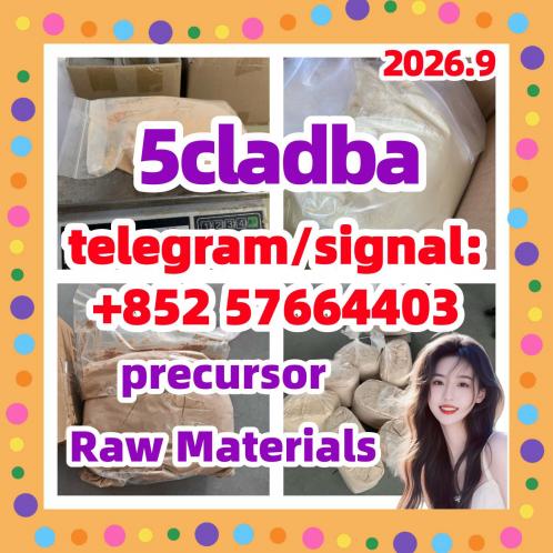 5CL-ADBA In Stock Now | Buy Today Ships