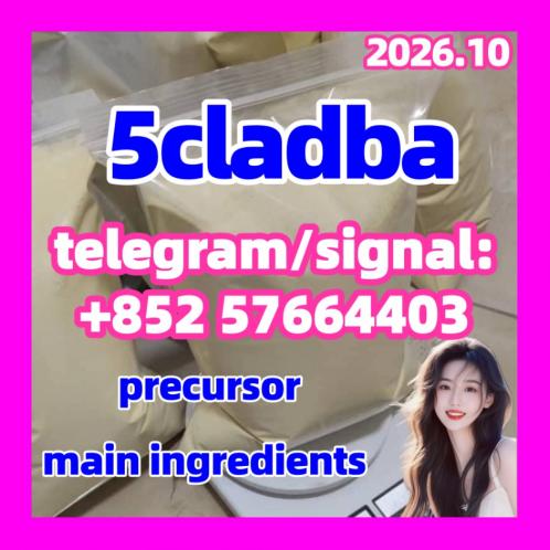 5cladba-precursor-bulk-china-supplier-coa |